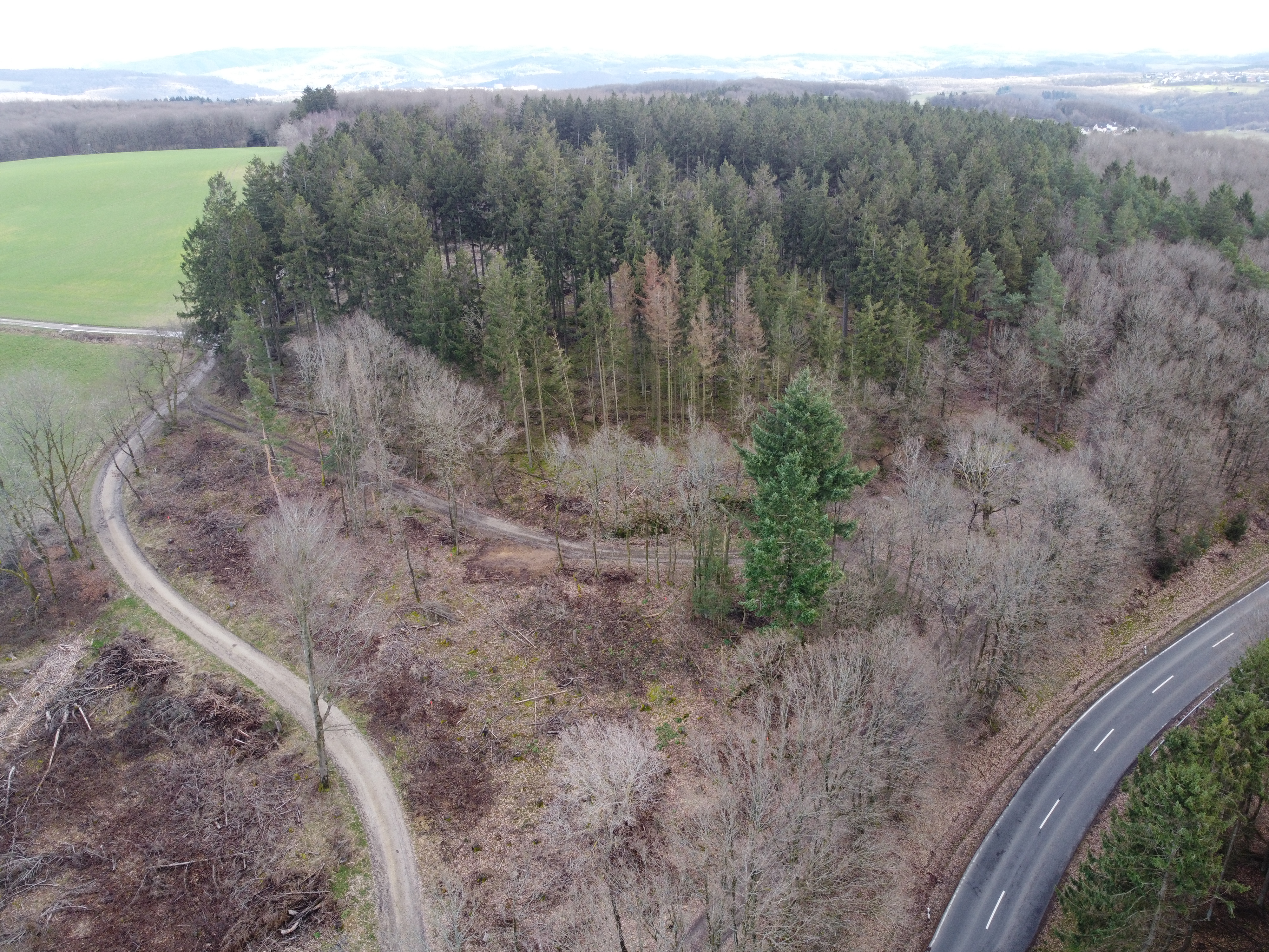 DJI_0518