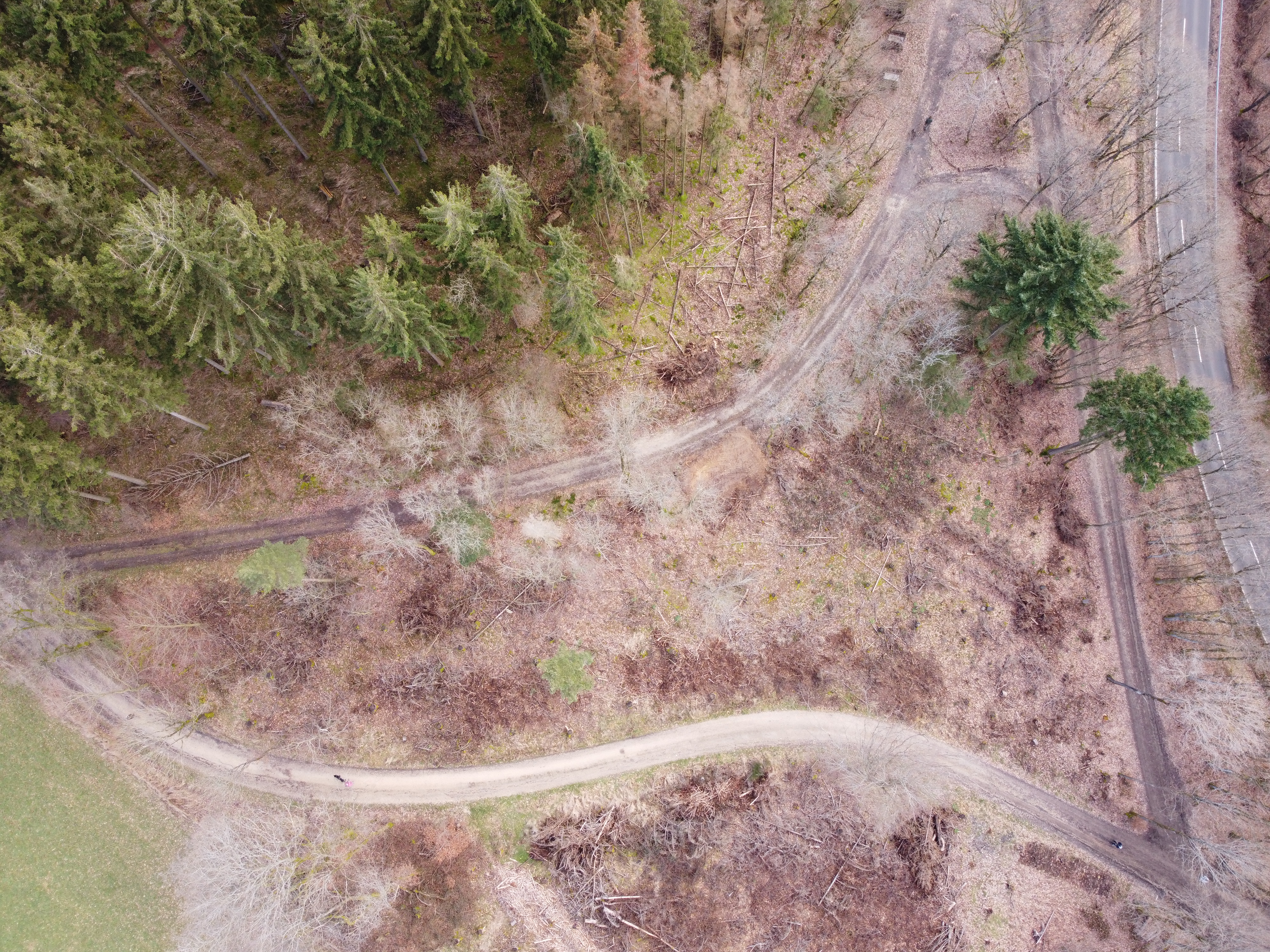 DJI_0537